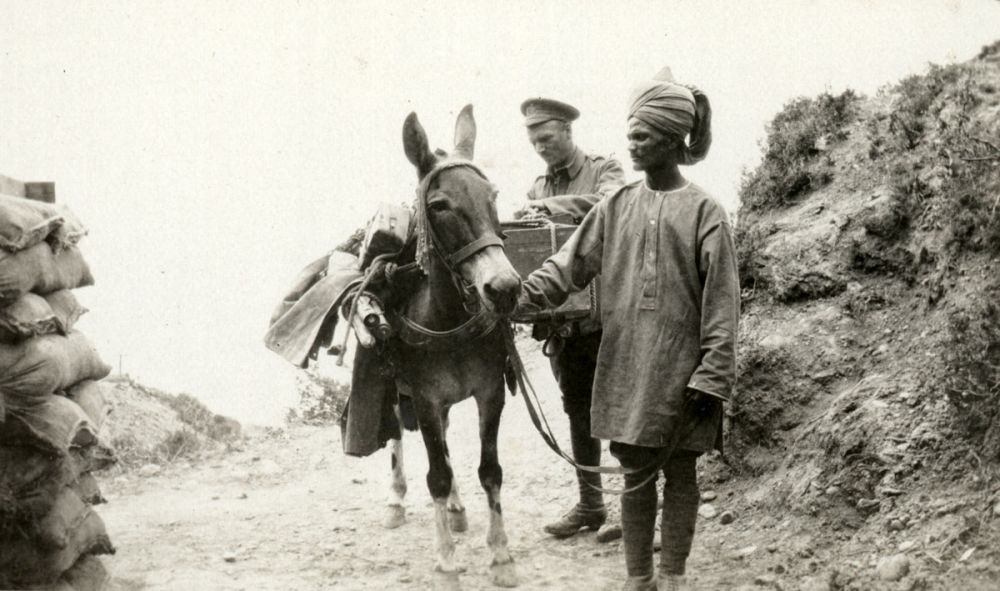 A soldier of the Patan Mule Corps.